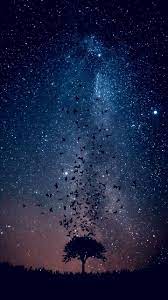 Free background video | langit malam bertabur bintang #1360p. Pin Oleh Haseeb Malik Di Astrophotos Fotografi Alam Pemandangan Khayalan Langit Malam