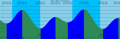 49 described naples florida tide chart