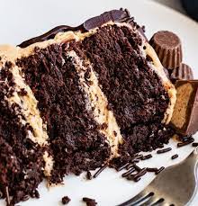 Chocolate Peanut Butter Brownie Cake Recipe By Tessa Arias The Feedfeed Chocolate Brownie Cake Brownie Cake Best Chocolate Cake