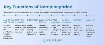 Image result for Norepinephrine