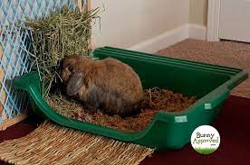 We carry hundreds of unique products in the store plus we have a thriving forum community and lots of rabbit information! Litter Box Set Up For Rabbits What Are The Choices Bunny Approved House Rabbit Toys Snacks And Accessories