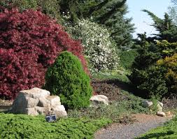 You want to make sure to plant shrubs that you can handle, and one that will complement your other landscape flowers and trees. Adding Small Shrubs To Your Home Landscape Caes Newswire