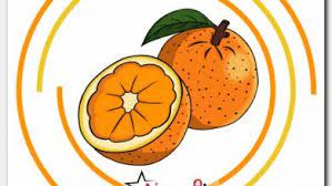 رسم برتقال بالخطوات سهلة للاطفال drawings draw orange