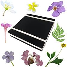 The traditional way of pressing flowers is to put them in between the pages of a book (or other stacks of sheets of paper like flower presses—purchased or homemade) and leave them for a long time while they dry fully. Amazon Com Rtree Microwave Flower Press Leaf Press Nature Press Flower Pressing Kit Flower Press Kit Preservation Frame Arrangements Craft Quickly Drying Press Flowers Leaves Plant Foliage Specimen Toys Games