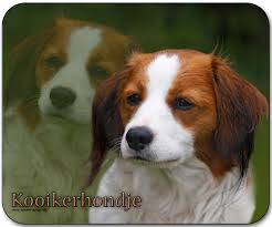 Die rasse ist von der fci anerkannt und in die gruppe 8 (stöberhunde) eingeordnet. 4pfotenshop Hundewarnschilder Und Kratzfeste Autoaufkleber Mit Hundemotiven Mousepads Hunderassen Hundemotive