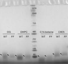 Full download veritas prep complete gmat course set 12. The Small Hydrophobic Protein Of The Human Respiratory Syncytial Virus Forms Pentameric Ion Channels Journal Of Biological Chemistry