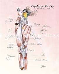 Gift For Massage Therapist Floral Anatomy Massage Room Art Etsy Massage Art Massage Therapy Massage Room