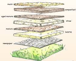 This widely popular technique of bed preparation will ensure healthy roots, beautiful blooms, and a bountiful harvest. No Dig Garden Also Called A Layer Garden Northey Street City Farm