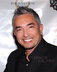 Discover 35 Milan Dog whisper and dog whisperer ideas