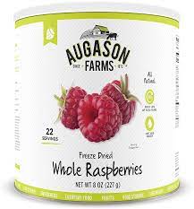 Amazon Com Augason Farms Freeze Dried Whole Raspberries 8 Oz No 10 Can Dried Fruits Sports Outdoors