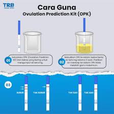 Panduan cara guna whatsapp yang memudahkan dan membantu anda dalam kehidupan. Cara Guna Opk Test Test Kesuburan Petua Mudah Hamil Facebook