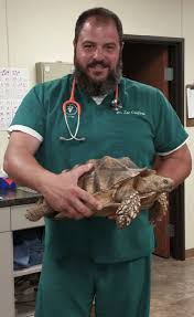 Compassionate care for your animal companion is the cornerstone of our edmond veterinarian practice. Stoneridge Animal Hospital About Us L Veterinarian Edmond Ok Oklahoma City Ok