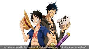 One Piece Luffy Law 4k Wallpaper One Piece Anime One Piece Luffy Anime One