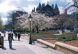 Executive Mba Mba Part Time At The University Of Edinburgh Business School University Of Edinburgh