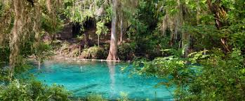 Save caddo lake state park to your lists. Fanning Springs State Park Florida State Parks