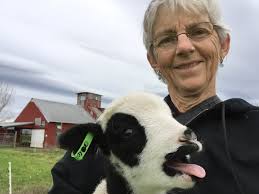 Jacob sheep — Meridian Jacobs' Blog