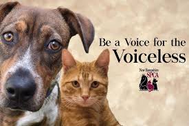 Why go to a dog breeder, cat breeder or pet store to buy a dog or buy a cat when you can adopt? Update 2019 Legislative Issues Nhspca