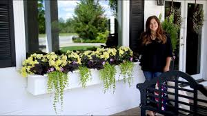 Jun 06, 2019 · window boxes give gardeners an affordable outlet to do what they love most: Gorgeous Shade Arrangement In Window Boxes Garden Answer Youtube