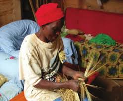 Image result for Pseudobromus engleri