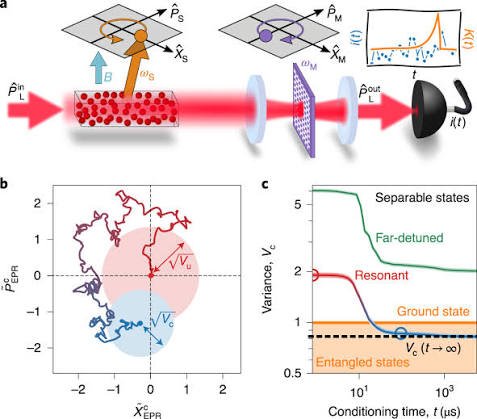 Entanglement between distant macroscopic mechanical and spin systems | Nature Physics