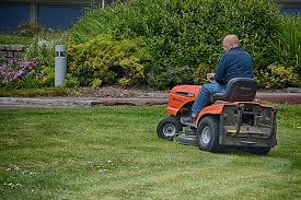You'll see briggs and stratton and tecumseh on some of. Buying A Used Lawn Mower How Not To Buy A Lemon Lawn Chick