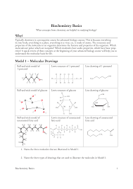 Biochemistry Basics Pogil Extension Questions Answer Key Biochem Basics Pogil