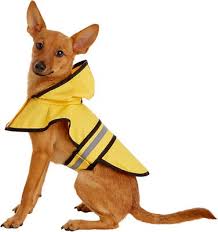 Ethical Pet Fashion Rainy Days Slicker Raincoat Yellow X Small