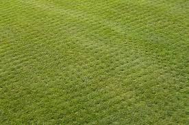 It is a tactic that a homeowner or lawn care expert may use when the soil is compacted to such a degree that oxygen, nutrients, and water cannot penetrate deeply enough to offer grasses. What Is Lawn Aeration Eden
