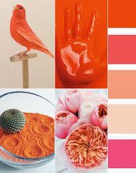Trends Trend Council S S 2016 Colors Early Directives Color Trends Trend Council Spring Colors