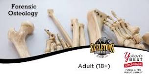 Forensic Osteology - Adults