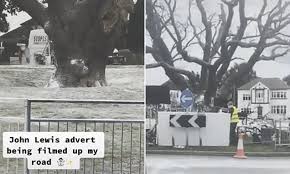 Christmas scandal is the 12th episode of the second season of the american comedy television series parks and recreation, and the eighteenth overall episode of the series. Is This The Location For The John Lewis Christmas Advert Daily Mail Online