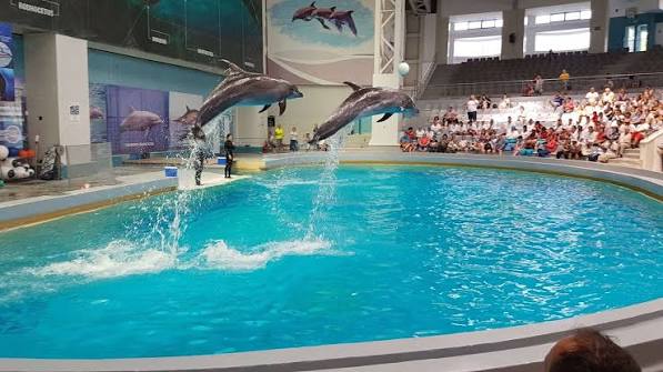 Delfinariu