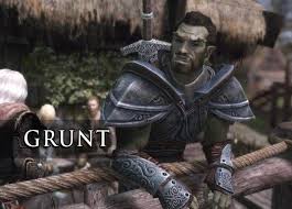 Use To Be Khajiit Followers Everywhere Not Elsweyr So Far Adds 12 Khajiit 3 Orc 3 Argonian 3 Dark Elf 2 High Elf 1 Wood Elf Dark Elf High Elf Wood Elf