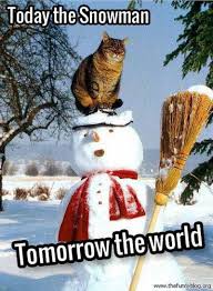 55 Funny Winter Memes That Are Relatable If You Live In The North Funny Cat Memes Cat Memes Snowman