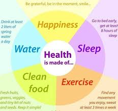 Image Result For Healthy Lifestyle Chart Health Fitness __