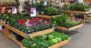 Pin By Stefania On Flori Nursery Near Me Garden Center Spring Hill Nursery