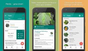 The plant identification app is the one that can help with this. Best Plant Identification Apps For Android Devices 2021