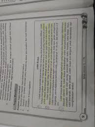 Tolong Sih Dijawab Kalimat Utama Nya Paragraf 1 3 Brainly Co Id