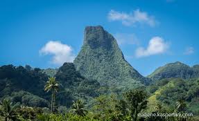 Image result for Mohria