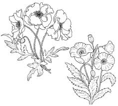 Printable Poppy Coloring Pages Free Coloring Sheets Poppy Coloring Page Flower Coloring Pages Poppies