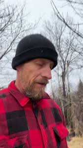 Vermont Deer Fell in Hole