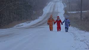 The movie, i mentioned, is a bore. The Brood 1979 The Criterion Collection