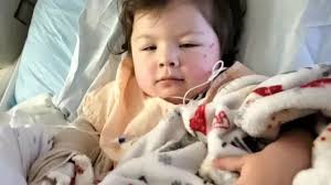 Lower Bank 2-Year-Old's Hand Mangled in Meat Grinder, Help Needed