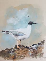 Biography of E.A Dunham/Gissing wildlife watercolour artist.
