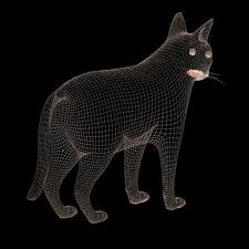 Black Cat 3d Model Black Cat Model Grey Cats Black Cat Cats
