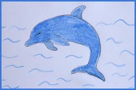 Comment Dessiner Un Dauphin Dessin Comment Dessiner Dauphin