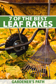 The thatch rake imo is more effective at removing dead grass than the power rake. 7 Of The Best Leaf Rakes Reviewed A Gardener S Path Buying Guide