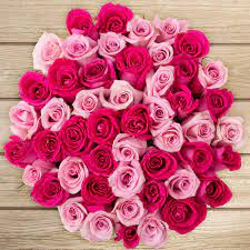 50 Stem Hot Pink Light Pink Roses Hot Pink Roses Pink Roses Pink Flowers