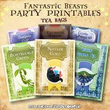 Fantastic Beasts And Where To Find Them Book Cover Printable Fabtastic Beasts Tea Party Harry Potter Themed Birthday Party Diy Decorations Printab Birthday Party Decorations Diy Diy Birthday Party Diy Party Decorations