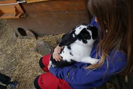 Aufgrund der aktuellen situation und maßnahmen der bundesregierung kann es zu abweichungen der öffnungszeiten sowie erreichbarkeiten der gelisteten unternehmen kommen. Albert Schweitzer Haus Kubus Kroeckelbach